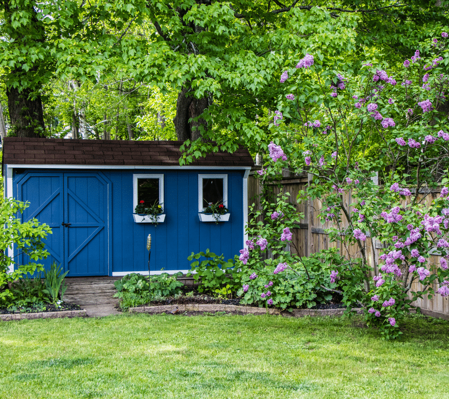 dark blue coloured garden shed