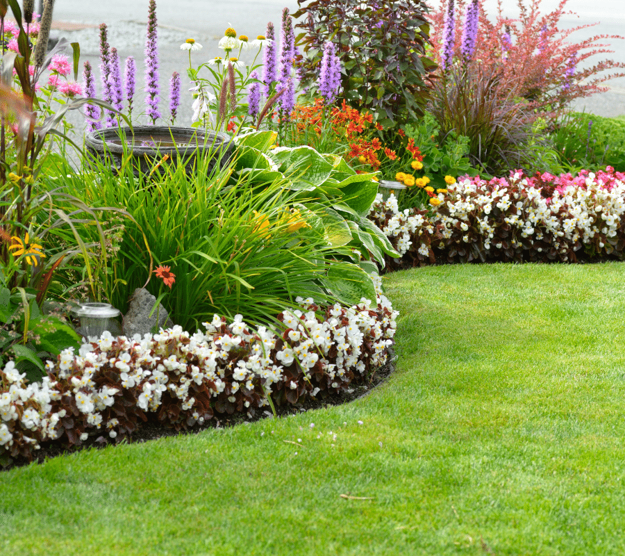 tidy garden