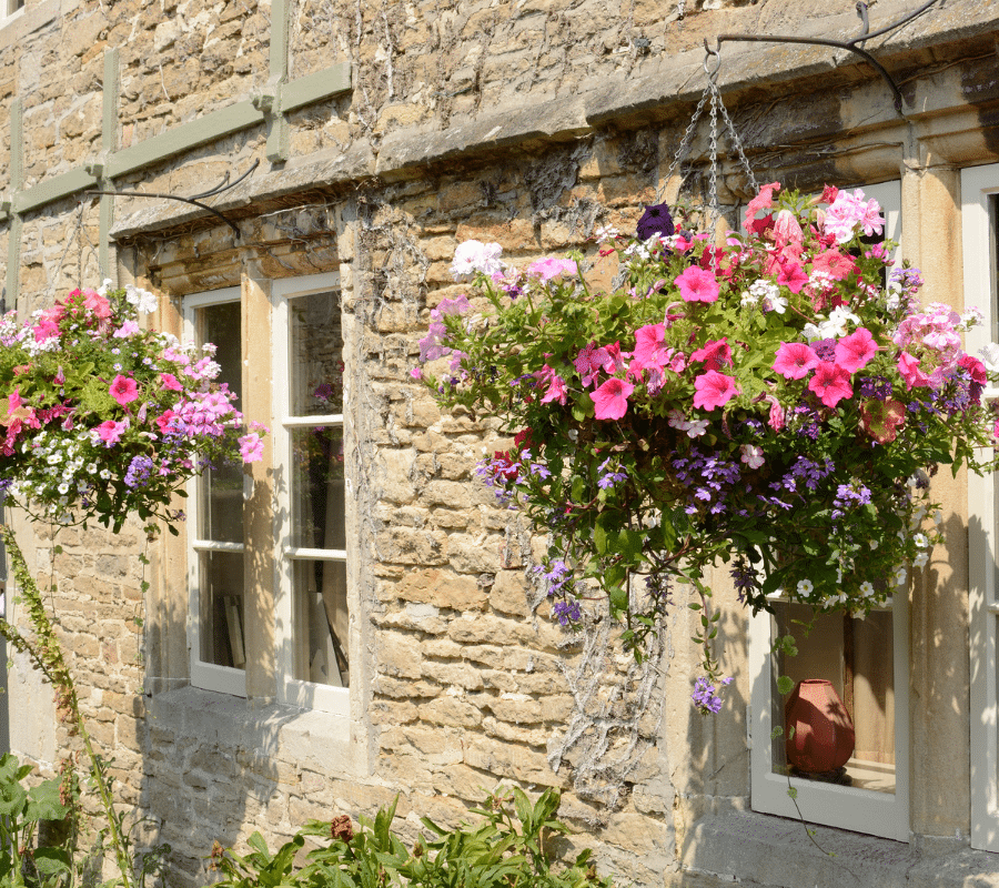 2 cottage hanging baskets