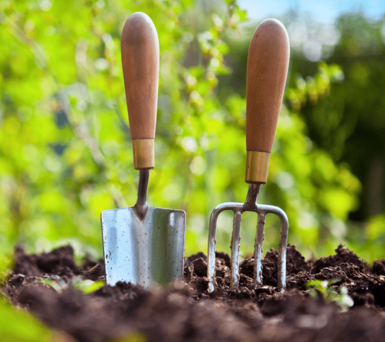 garden hand fork and trowel garden tools stuck in soil